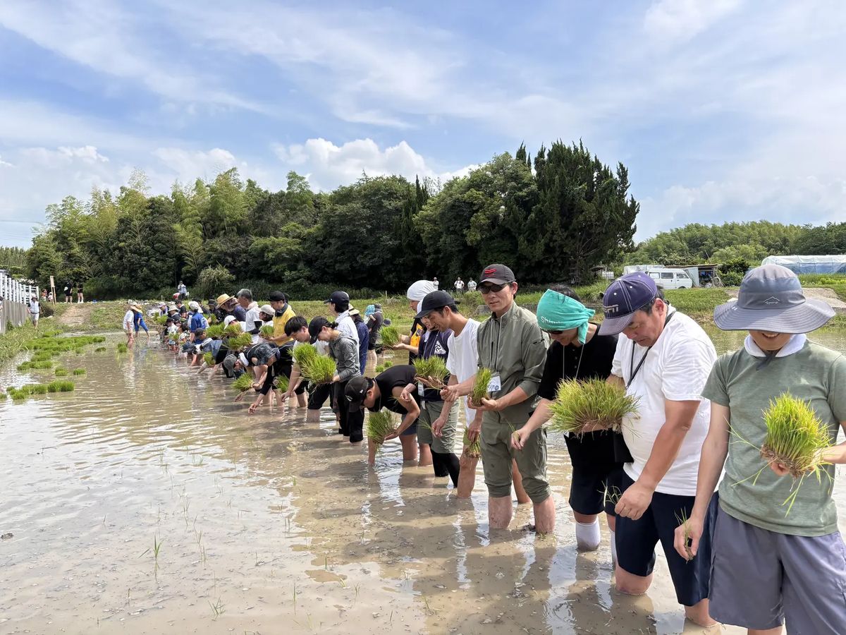 合鴨田んぼオーナーに関連する活動写真